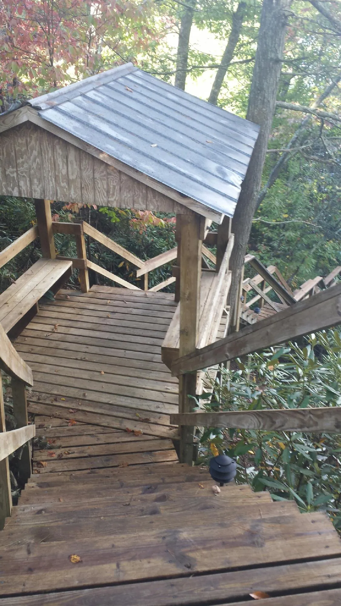 Metal roofed shelter over wooden steps on a wooded walkway — Skylight Repair & Installation work by our crew in Evergreen