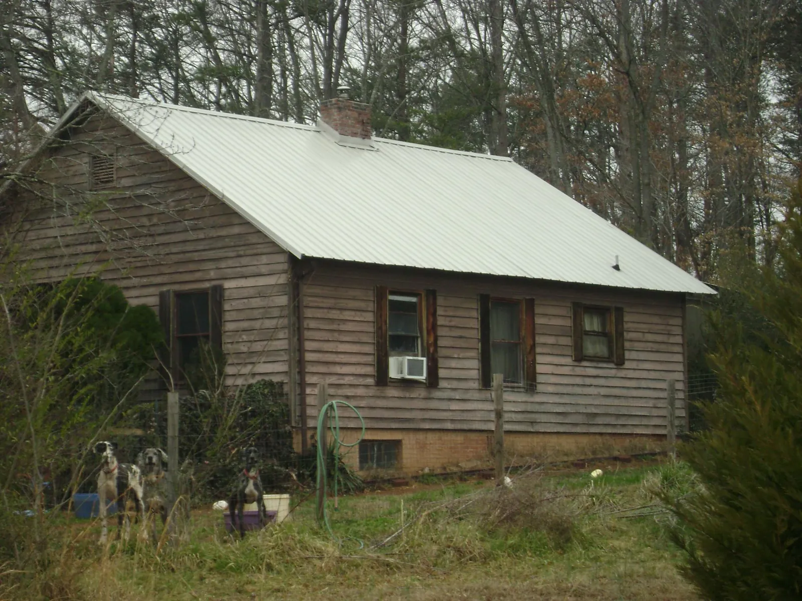 White metal roof on an old wood sided farmhouse, from a Metal Roof Installation job in Evergreen